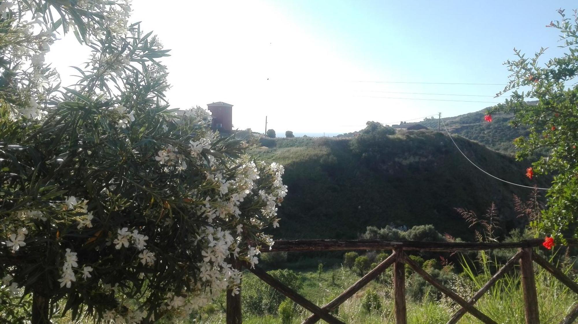 Tenuta Agrituristica Castellesi Squillace Oda fotoğraf